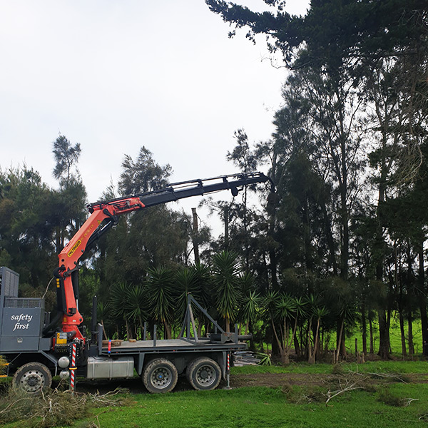 Crane-and-Grapple-Saw-Tree-Services