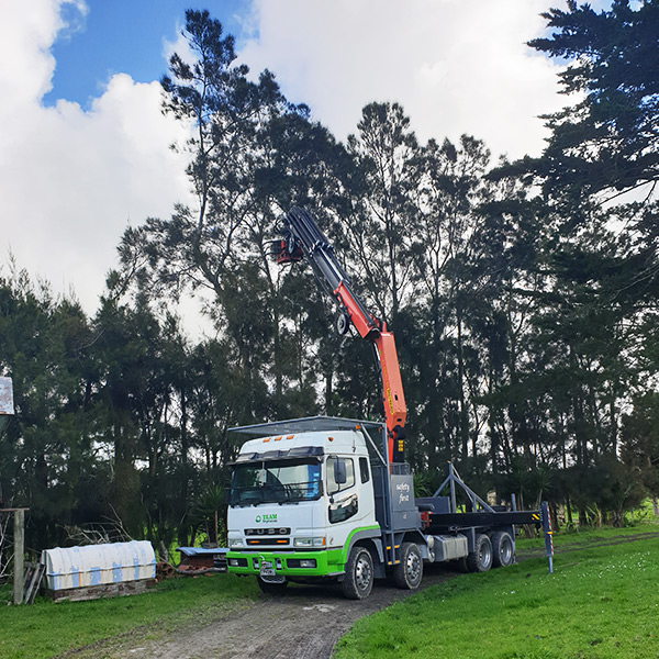 Crane-and-Grapple-Tree-Services-Auckland