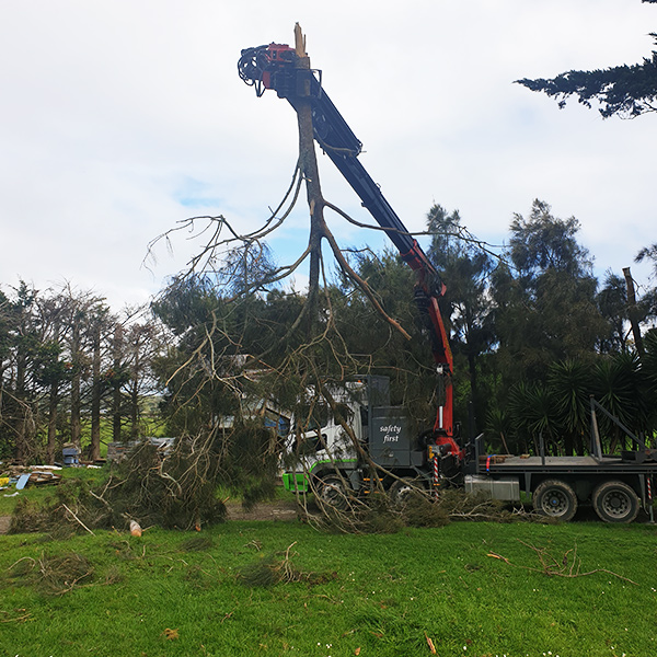 Crane-and-Grapple-Tree-Services