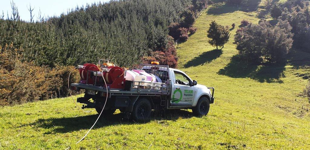 Gorse-Control-NZ