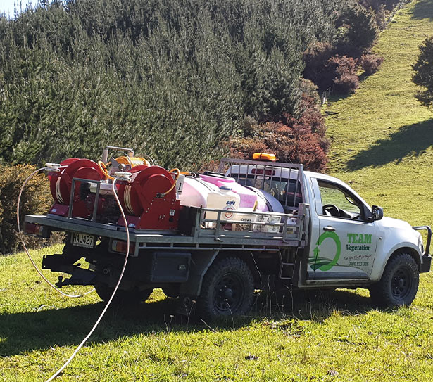 Gorse-Spraying